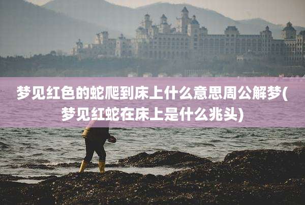 梦见红色的蛇爬到床上什么意思周公解梦(梦见红蛇在床上是什么兆头)