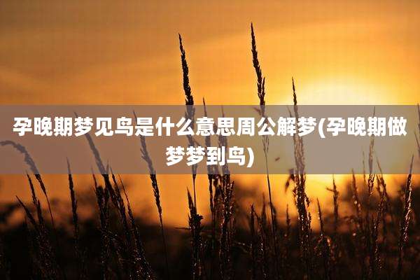 孕晚期梦见鸟是什么意思周公解梦(孕晚期做梦梦到鸟)