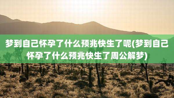 梦到自己怀孕了什么预兆快生了呢(梦到自己怀孕了什么预兆快生了周公解梦)
