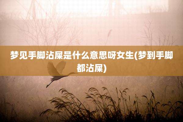 梦见手脚沾屎是什么意思呀女生(梦到手脚都沾屎)