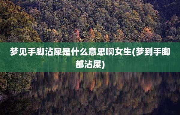 梦见手脚沾屎是什么意思啊女生(梦到手脚都沾屎)