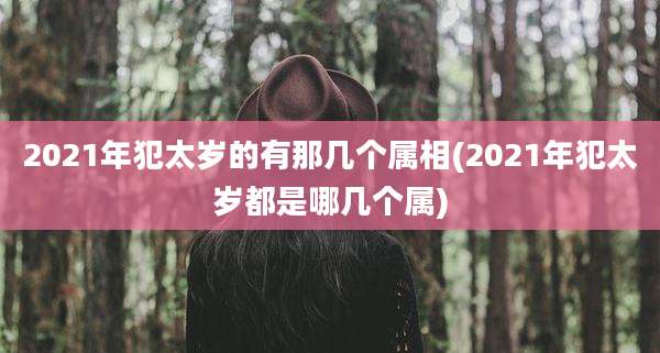 2021年犯太岁的有那几个属相(2021年犯太岁都是哪几个属)