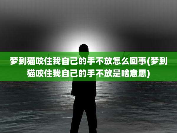 梦到猫咬住我自己的手不放怎么回事(梦到猫咬住我自己的手不放是啥意思)