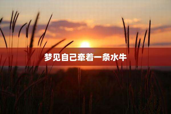 梦见自己牵着一条水牛