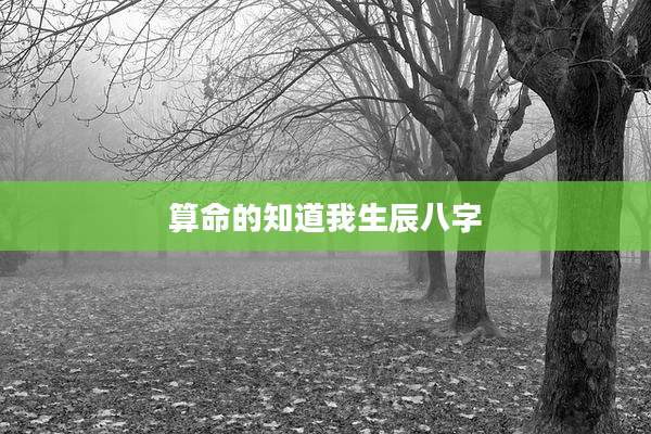算命的知道我生辰八字