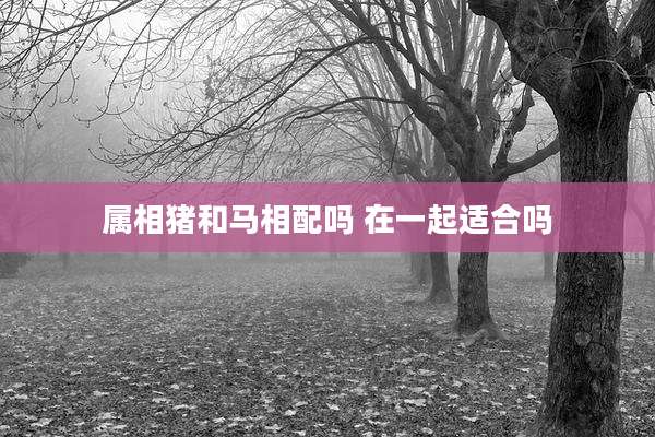 属相猪和马相配吗 在一起适合吗
