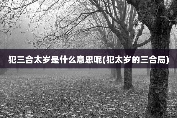犯三合太岁是什么意思呢(犯太岁的三合局)