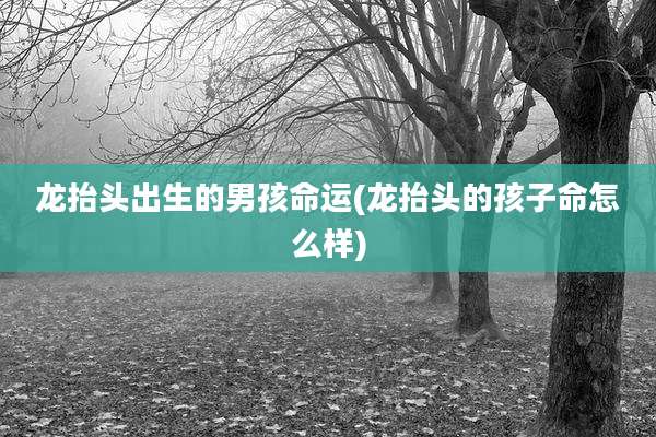 龙抬头出生的男孩命运(龙抬头的孩子命怎么样)