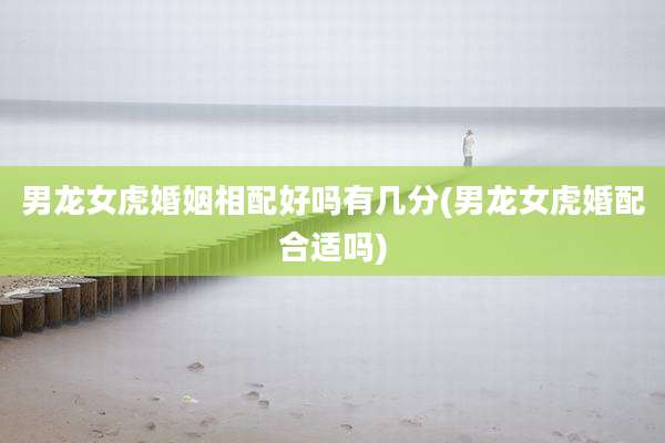 男龙女虎婚姻相配好吗有几分(男龙女虎婚配合适吗)