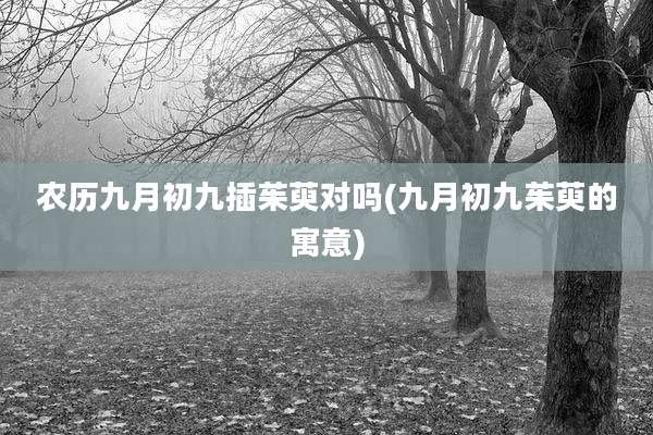 农历九月初九插茱萸对吗(九月初九茱萸的寓意)