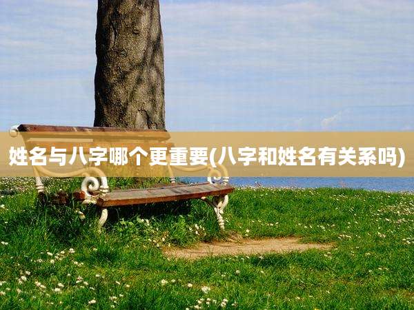 姓名与八字哪个更重要(八字和姓名有关系吗)