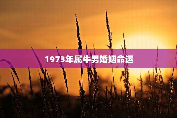 1973年属牛男婚姻命运
