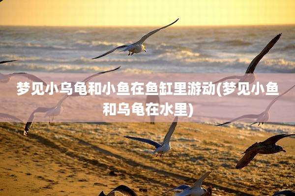梦见小乌龟和小鱼在鱼缸里游动(梦见小鱼和乌龟在水里)