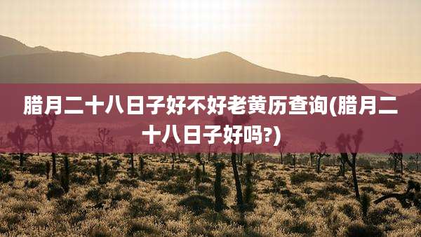 腊月二十八日子好不好老黄历查询(腊月二十八日子好吗?)