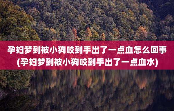孕妇梦到被小狗咬到手出了一点血怎么回事(孕妇梦到被小狗咬到手出了一点血水)