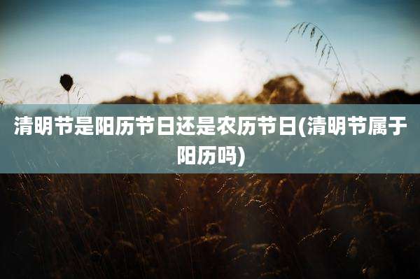 清明节是阳历节日还是农历节日(清明节属于阳历吗)