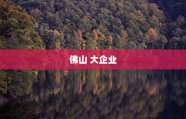 佛山 大企业