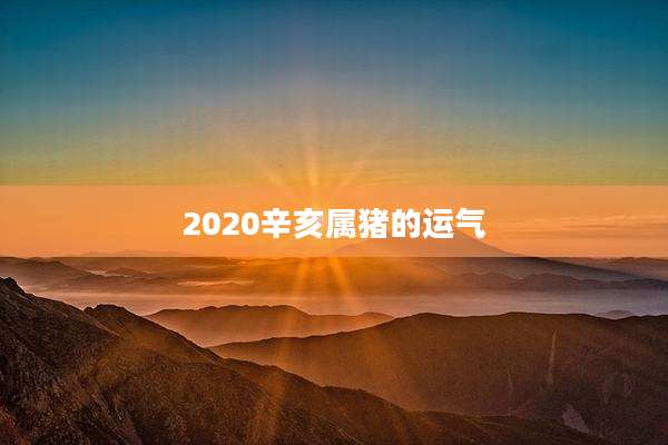 2020辛亥属猪的运气