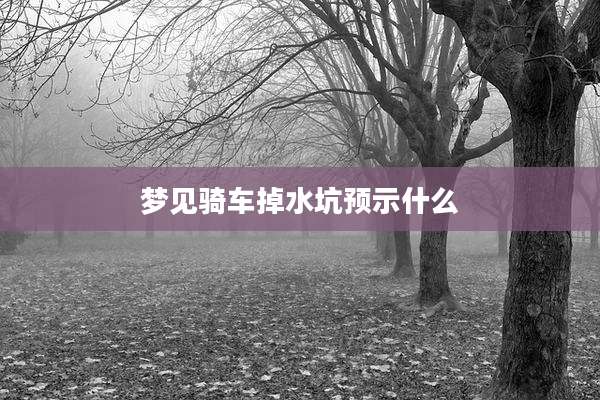 梦见骑车掉水坑预示什么