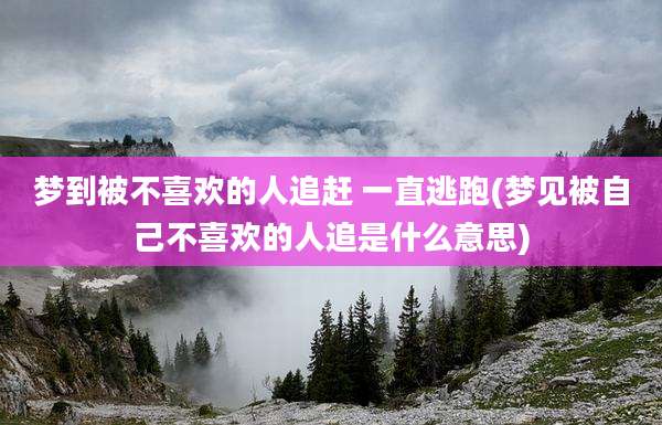 梦到被不喜欢的人追赶 一直逃跑(梦见被自己不喜欢的人追是什么意思)