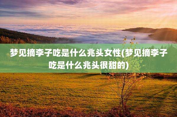 梦见摘李子吃是什么兆头女性(梦见摘李子吃是什么兆头很甜的)