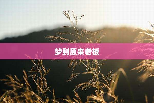 梦到原来老板