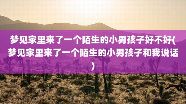 梦见家里来了一个陌生的小男孩子好不好(梦见家里来了一个陌生的小男孩子和我说话)