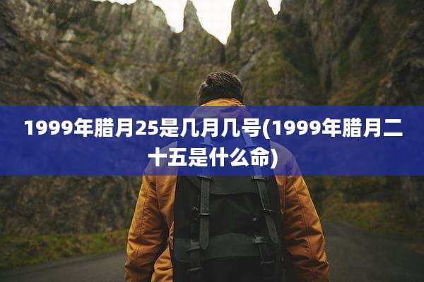 1999年腊月25是几月几号(1999年腊月二十五是什么命)