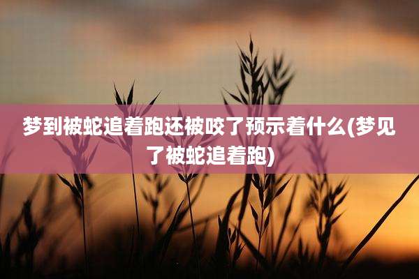 梦到被蛇追着跑还被咬了预示着什么(梦见了被蛇追着跑)