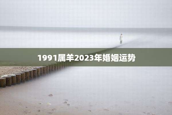 1991属羊2023年婚姻运势