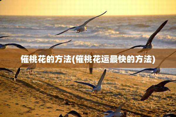 催桃花的方法(催桃花运最快的方法)