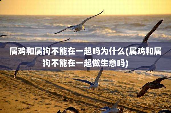 属鸡和属狗不能在一起吗为什么(属鸡和属狗不能在一起做生意吗)