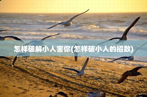 怎样破解小人害你(怎样破小人的招数)