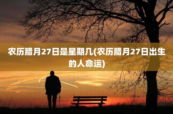 农历腊月27日是星期几(农历腊月27日出生的人命运)