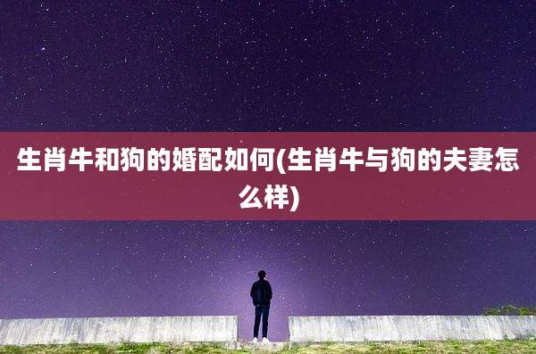 生肖牛和狗的婚配如何(生肖牛与狗的夫妻怎么样)