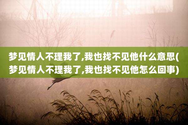 梦见情人不理我了,我也找不见他什么意思(梦见情人不理我了,我也找不见他怎么回事)