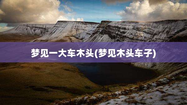 梦见一大车木头(梦见木头车子)