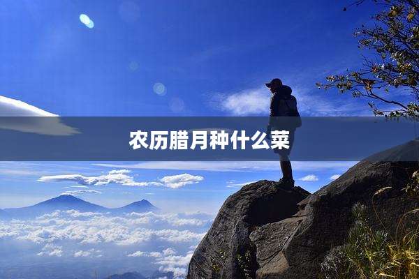 农历腊月种什么菜