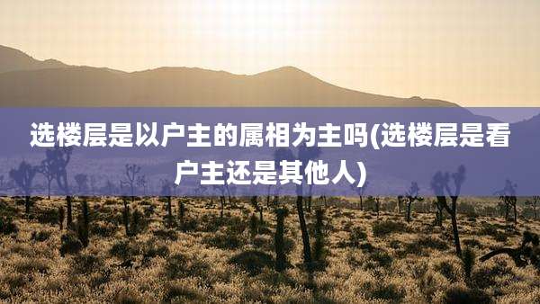 选楼层是以户主的属相为主吗(选楼层是看户主还是其他人)