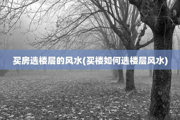 买房选楼层的风水(买楼如何选楼层风水)