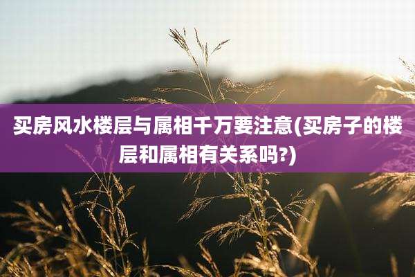 买房风水楼层与属相千万要注意(买房子的楼层和属相有关系吗?)
