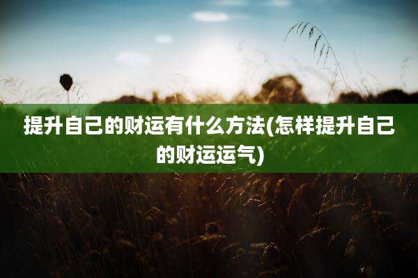 提升自己的财运有什么方法(怎样提升自己的财运运气)