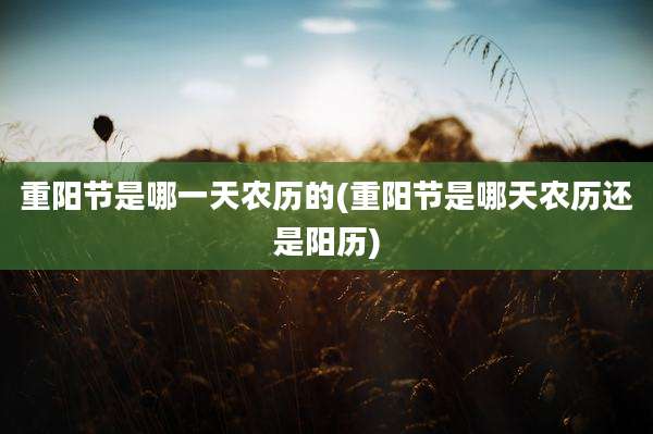 重阳节是哪一天农历的(重阳节是哪天农历还是阳历)