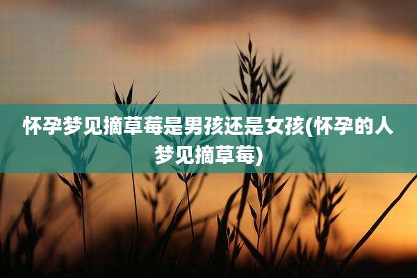怀孕梦见摘草莓是男孩还是女孩(怀孕的人梦见摘草莓)