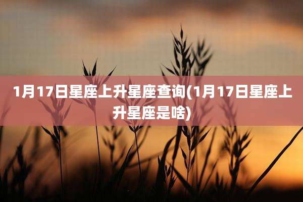 1月17日星座上升星座查询(1月17日星座上升星座是啥)