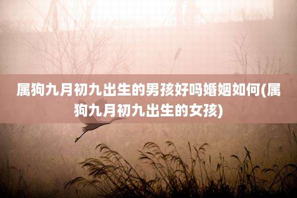 属狗九月初九出生的男孩好吗婚姻如何(属狗九月初九出生的女孩)
