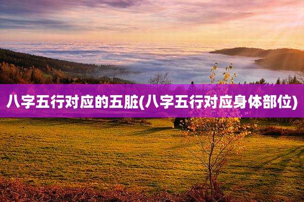 八字五行对应的五脏(八字五行对应身体部位)