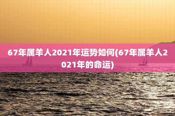 67年属羊人2021年运势如何(67年属羊人2021年的命运)