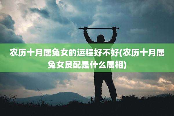 农历十月属兔女的运程好不好(农历十月属兔女良配是什么属相)
