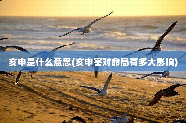亥申是什么意思(亥申害对命局有多大影响)